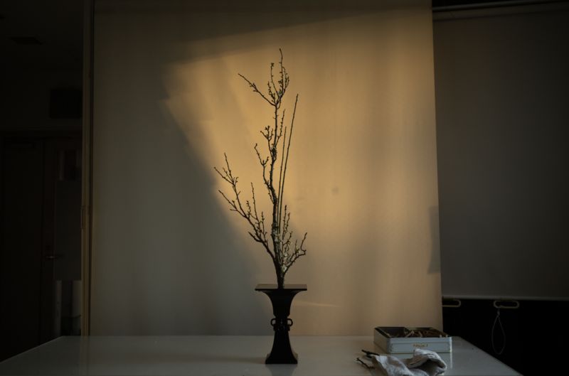 ikebana